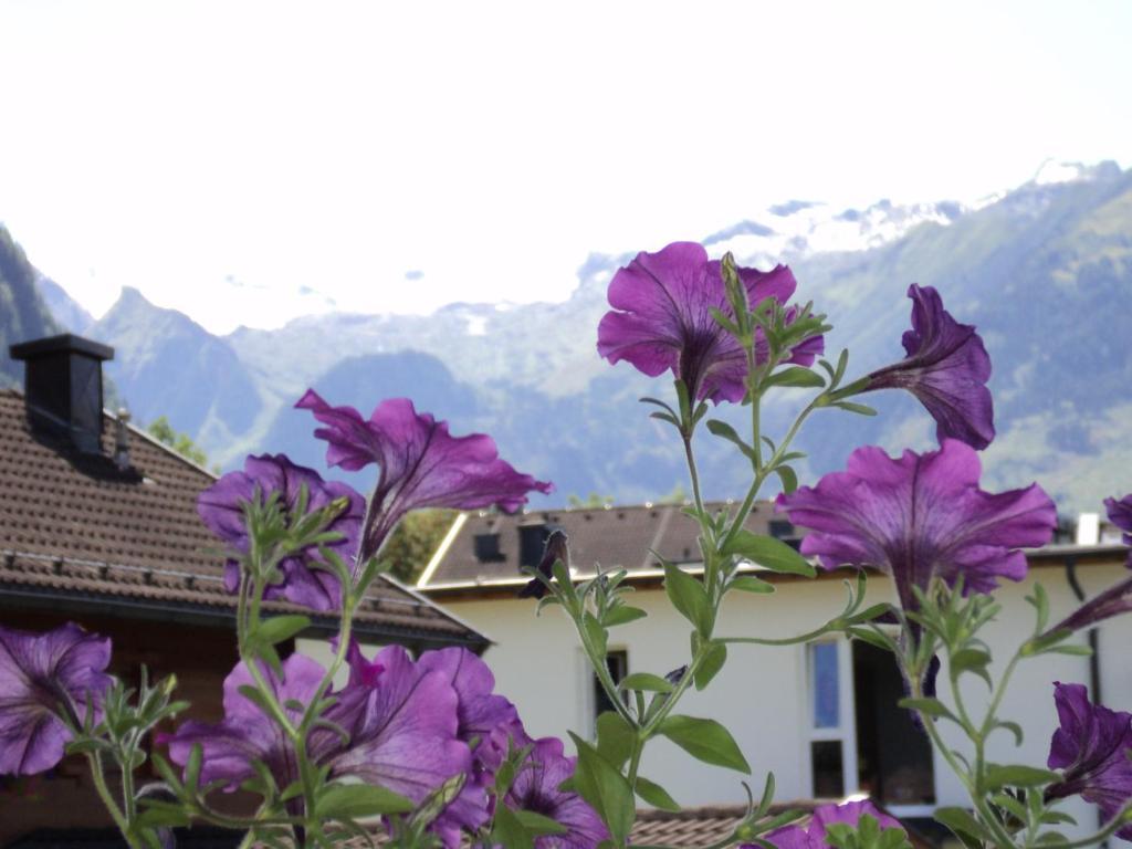 Apartmenthaus Gotthardt Kaprun Room photo